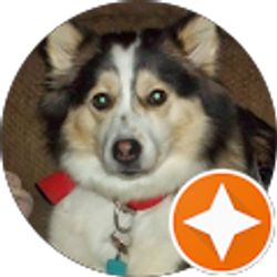 Profile photo of 1971tamie