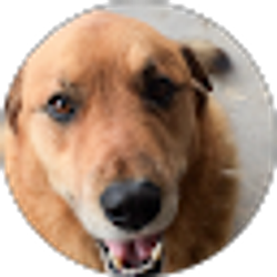 Profile photo of LL