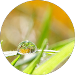 Profile photo of Na Le