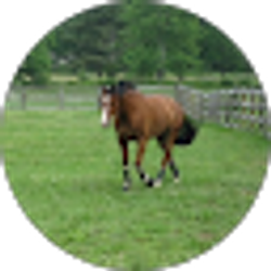 Profile photo of Patrick Ranson