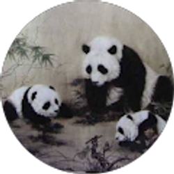 Profile photo of Panda Bear