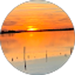 Profile photo of Paul Newton