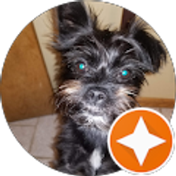 Profile photo of Adriana Hernandez