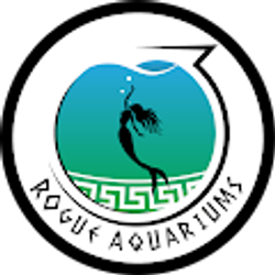 Profile photo of Rogue Aquariums