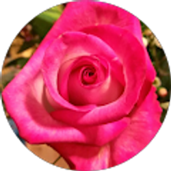 Profile photo of Jessica Ellis