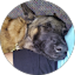 Profile photo of Caren Greene