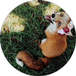 Profile photo of T Clary