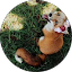 Profile photo of T Clary
