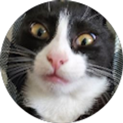 Profile photo of Chris Work