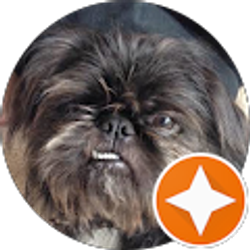 Profile photo of Greg Ramos (ReMiXeDg)