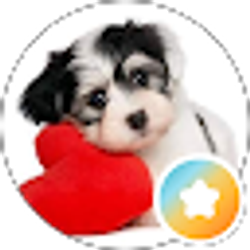 Profile photo of Karen Jackson