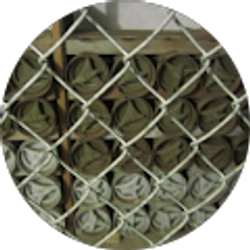 Profile photo of Patrick O'Shea