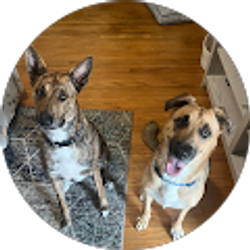 Profile photo of Aaron J