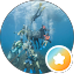 Profile photo of Brian GoneFishin