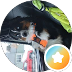 Profile photo of MICHAEL WADE