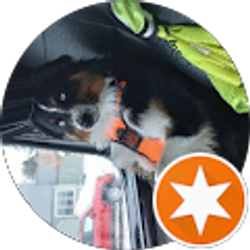 Profile photo of MICHAEL WADE