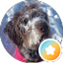 Profile photo of Bernie petersen