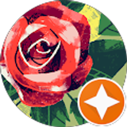 Profile photo of Kristin Mitchum