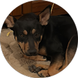 Profile photo of Lely H