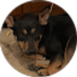 Profile photo of Lely H