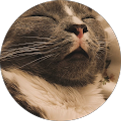 Profile photo of emmy j