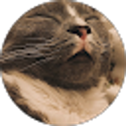 Profile photo of emmy j