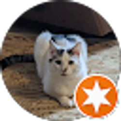 Profile photo of Greg Webb