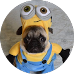 Profile photo of Cohen Sussdorf