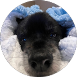 Profile photo of Jim Thietje