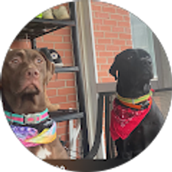 Profile photo of Justin Anctil