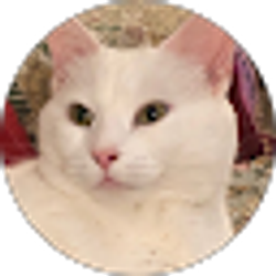 Profile photo of Julie Paisley
