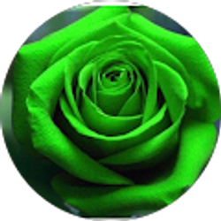 Profile photo of Cassandre K