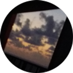 Profile photo of Hailey Olvera