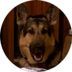 Profile photo of ACTS1 eleven