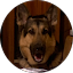 Profile photo of ACTS1 eleven
