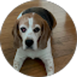 Profile photo of Tiffany Bell
