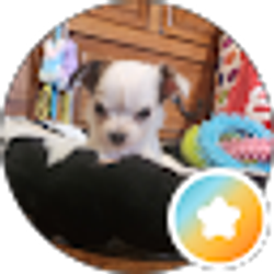 Profile photo of Stephanie Paye