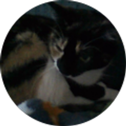 Profile photo of Kjerstin Flansburg