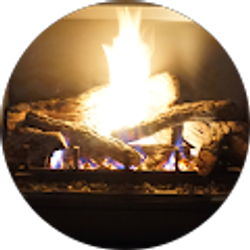 Profile photo of Brad Steinkuehler