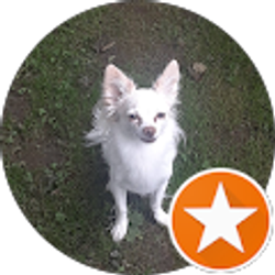 Profile photo of Susan Dorman