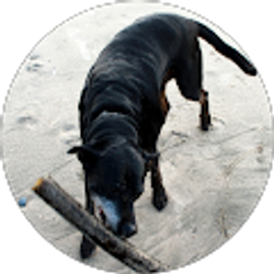 Profile photo of Melissa Cate