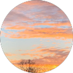 Profile photo of Ania Hodun