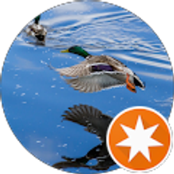 Profile photo of Boaz Salmi