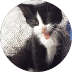 Profile photo of julia slintak