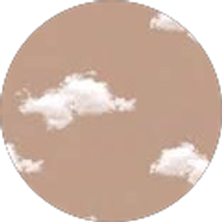 Profile photo of Jacqueline