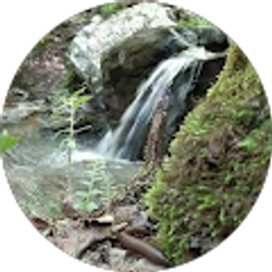 Profile photo of Jeffrey Bean