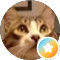 Profile photo of Sheri Baker