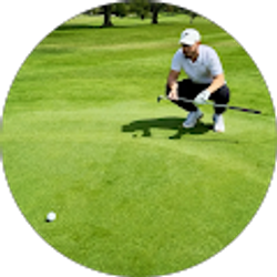 Profile photo of D Panzone