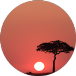 Profile photo of William Hong