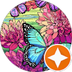 Profile photo of kim ward